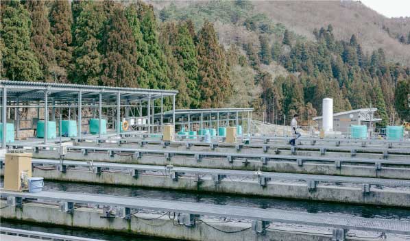 淡水かけ流しの清冽な水